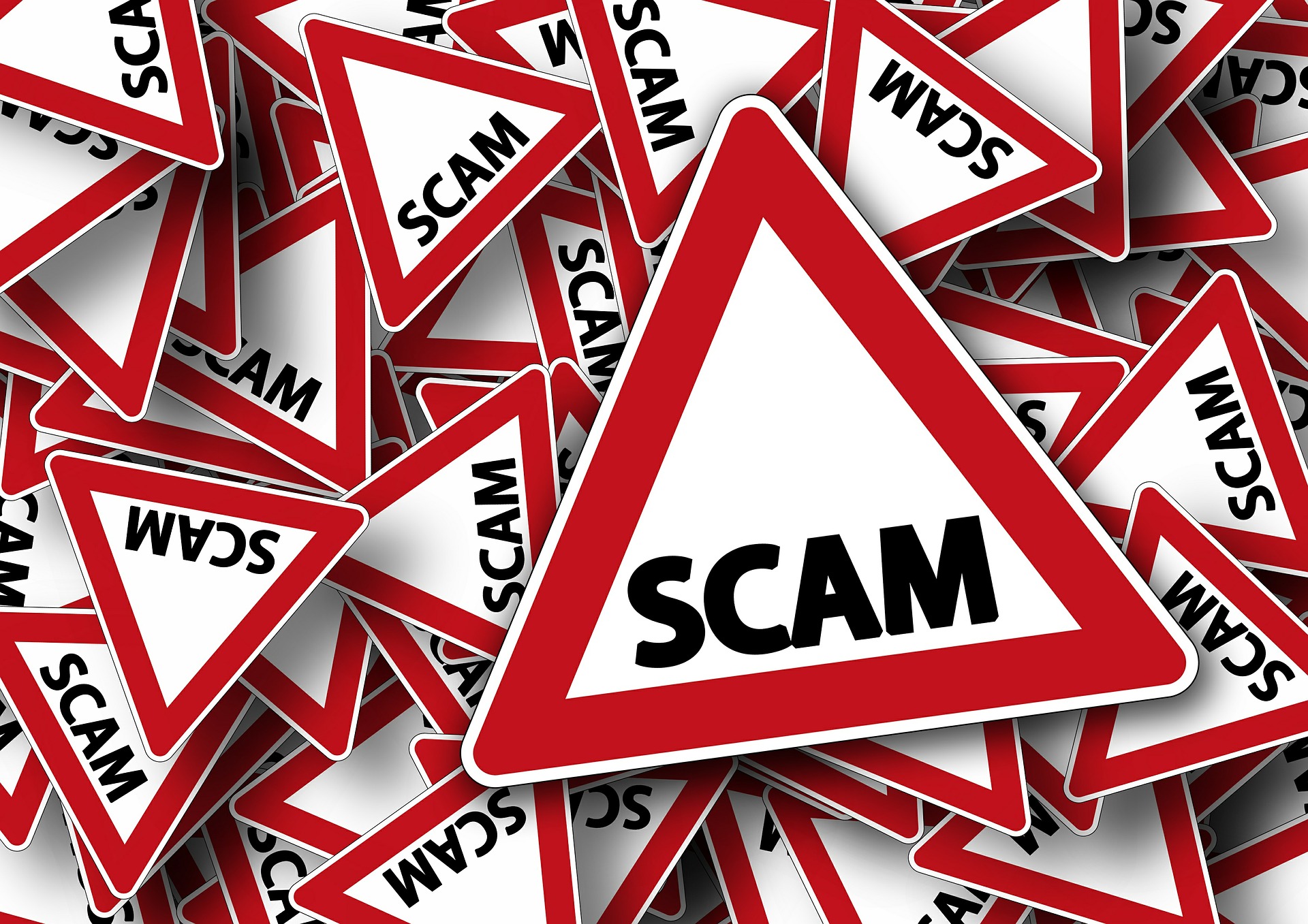 Someone Just Transferred Bitcoin worth $243,153 to Elon Musk’s Scam Wallet Address